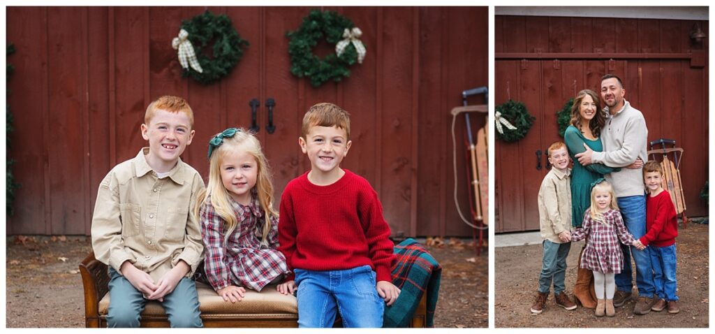 Christmas Mini