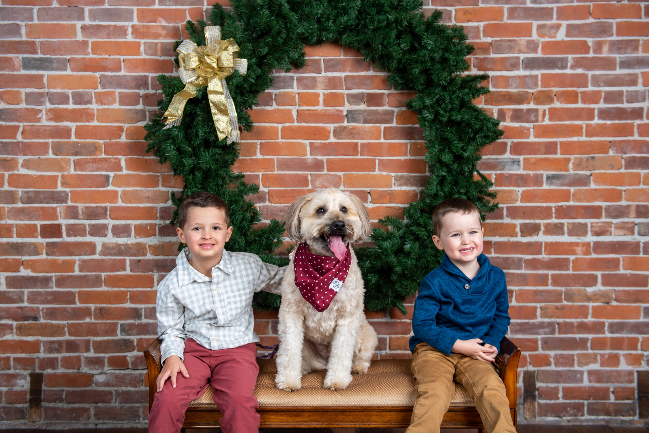 christmas photo sessions