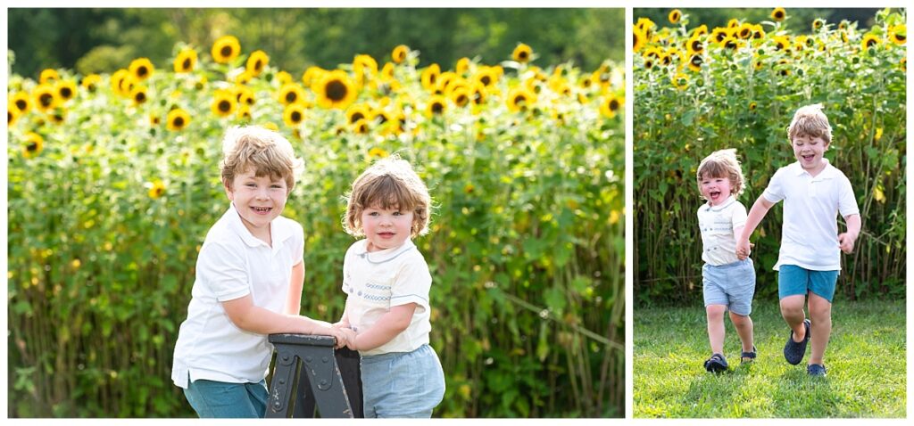 family sunflower pictures